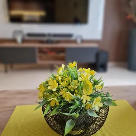 Luxury Yellow & Modern Skopje